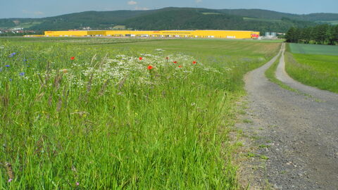 Landschaft mit Logistik Auf dem Bild sieht man eine blühende Wiese, im Hintergrund leuchtet ein gelbes Logisitikzentrum der DHL. Dahinter erscheint eine bewaldete Hügellandschaft. Rechts im Bild verläuft ein Weg.
